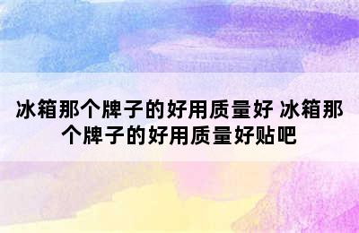 冰箱那个牌子的好用质量好 冰箱那个牌子的好用质量好贴吧